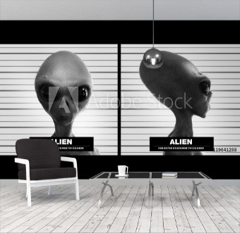 Picture of Alien suspect